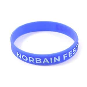 Embossed Colour Silicone Wristband